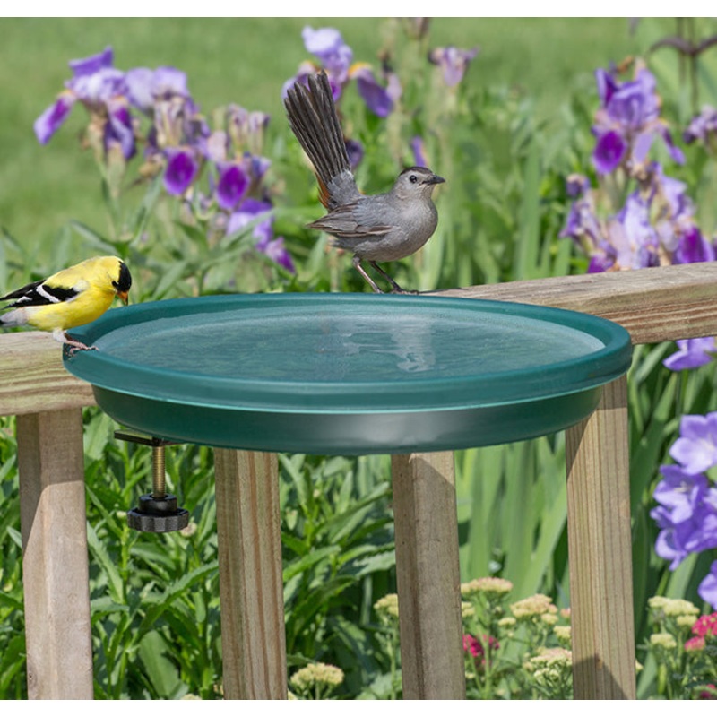 Clamp Mount Bird Bath, Green
