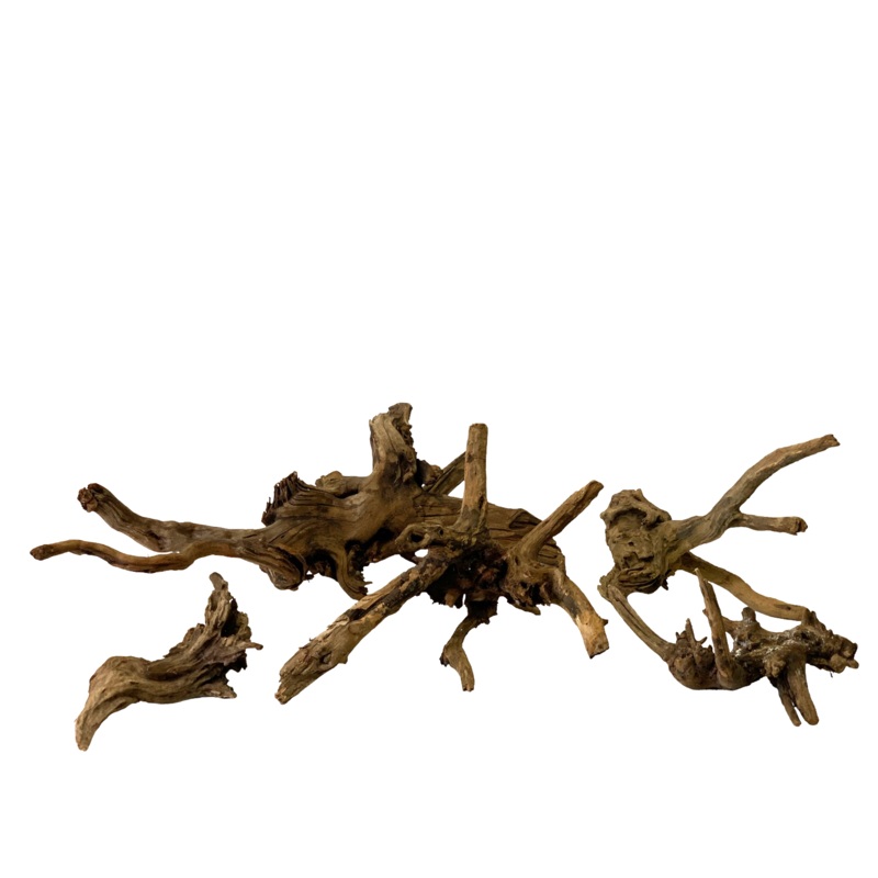 Ancient horn driftwood (Free shipping) S  (2 pieces per order)