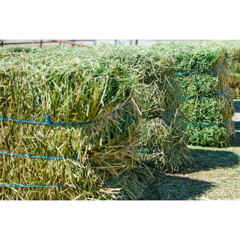 CT Garvin Alfalfa Hay
