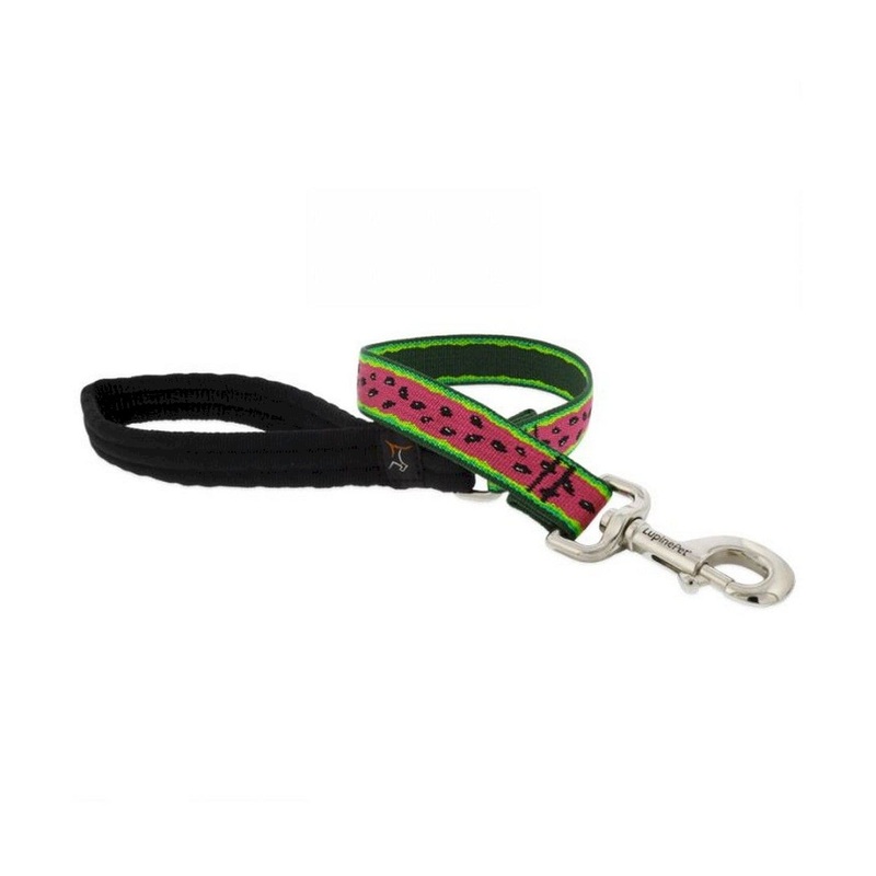Dog Leash 1″ Wide X 4′ Long Watermelon