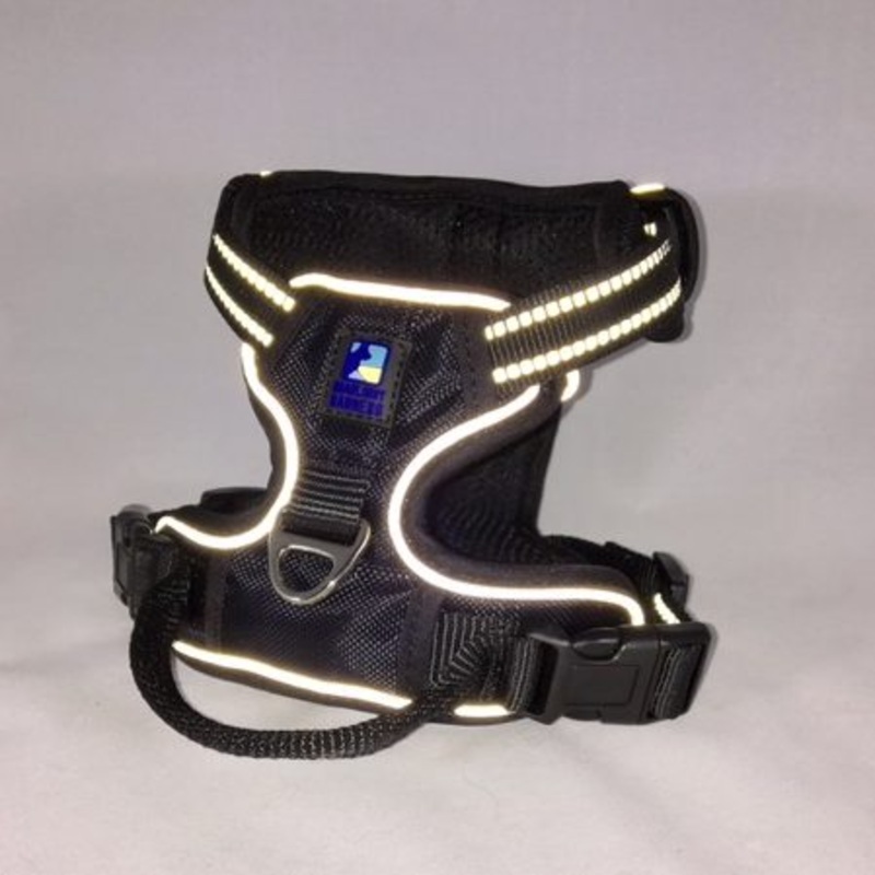 Headlight Harness X-Small