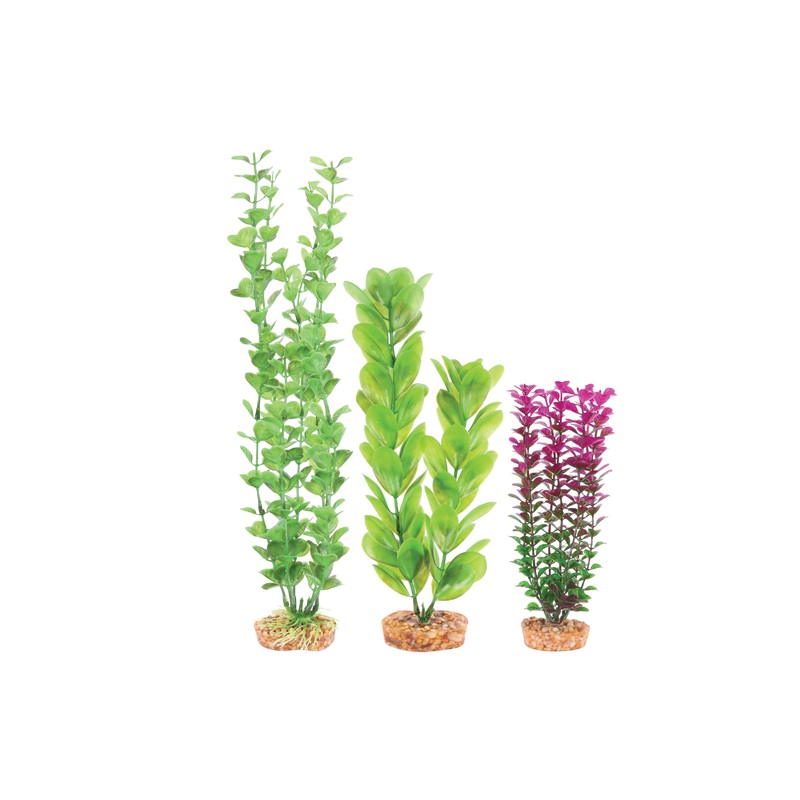 Kazoo Plastic Plant Multipack 1