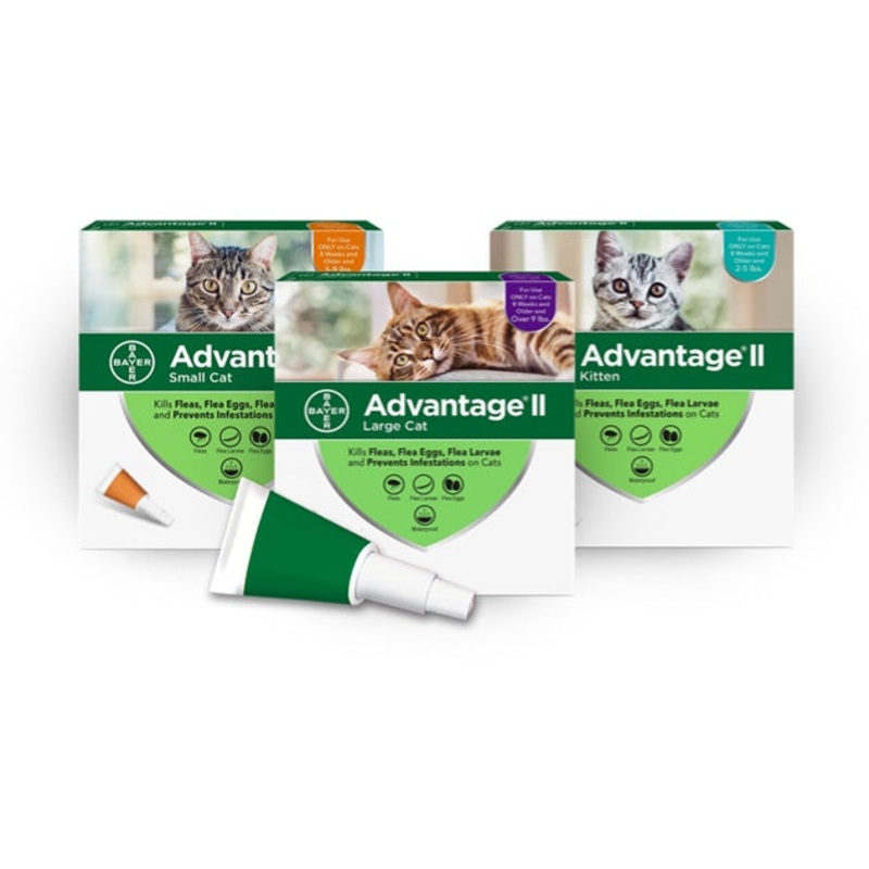 Elanco Advantage II for Small Cats Cats 2-9 lbs 2 Pack