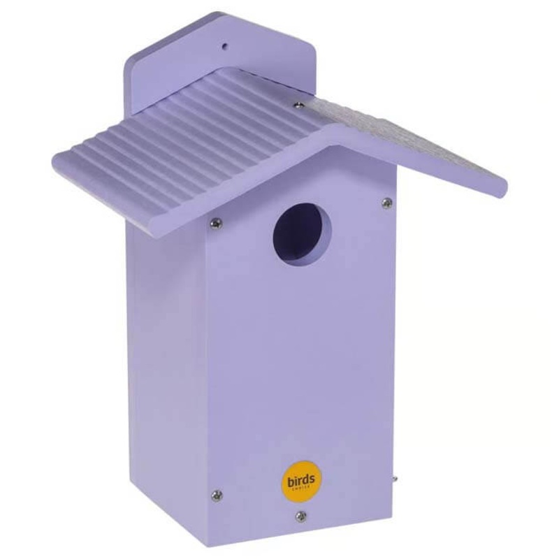 Bluebird House, Purple