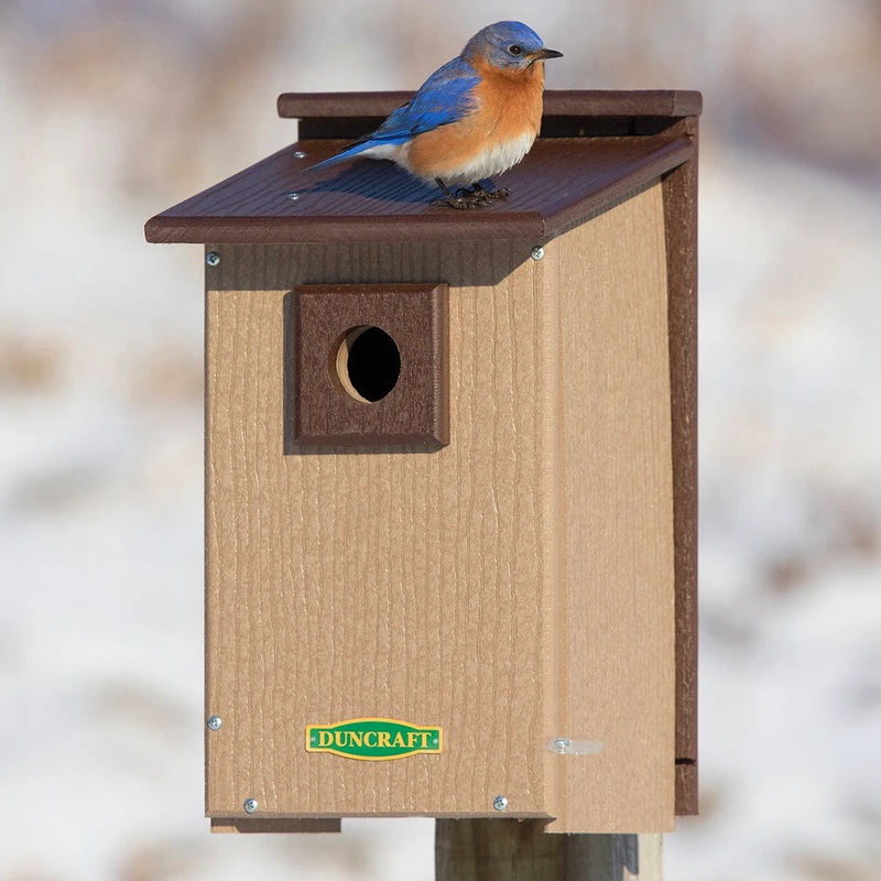 Duncraft Bird-Safe Premium Observation Bluebird House