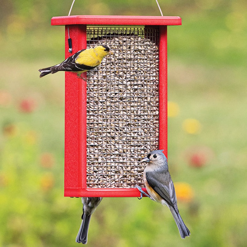 Duncraft Bird-Safe Sunflower Mesh Feeder