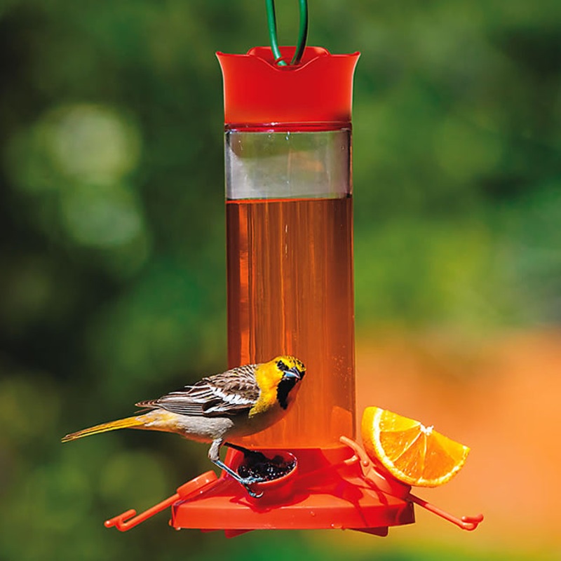 Fruit Trio Oriole Nectar Feeder