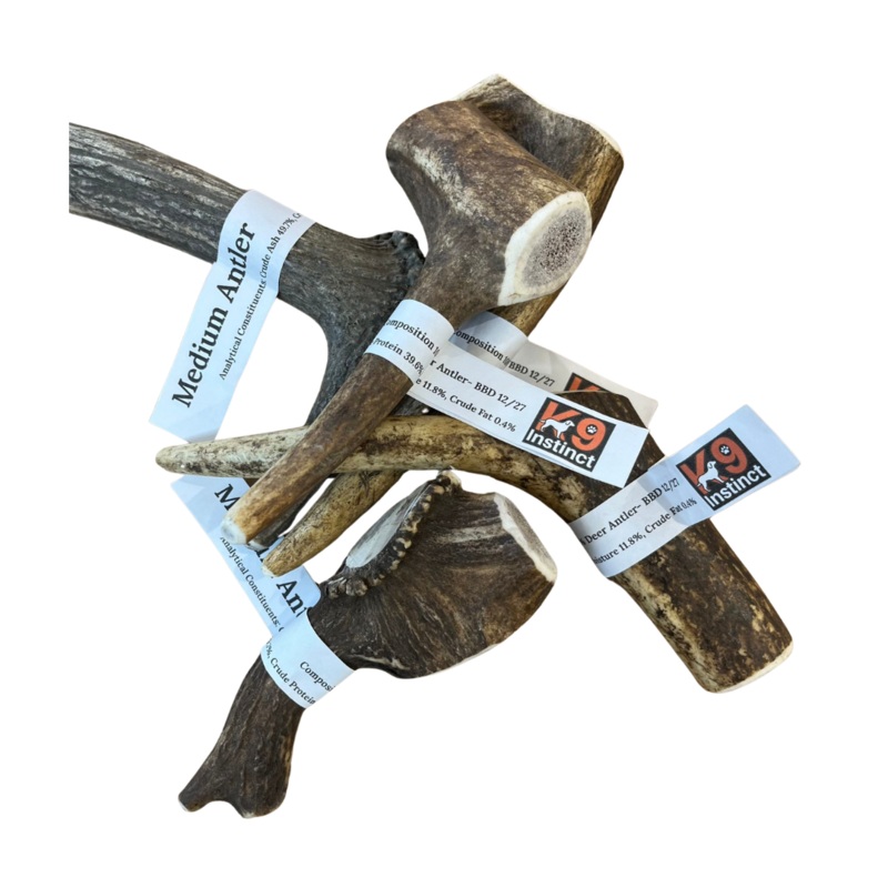 Antler Medium