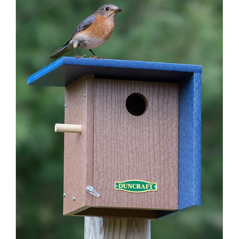 Duncraft Wind Block Bluebird House