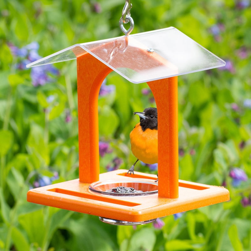 Duncraft Sheltered Oriole Jelly Feeder