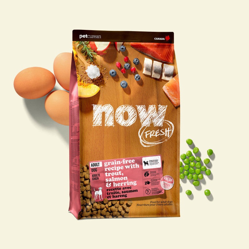 NOW FRESH Grain Free Dog Food – Adult Fish Recipe 3.5lb