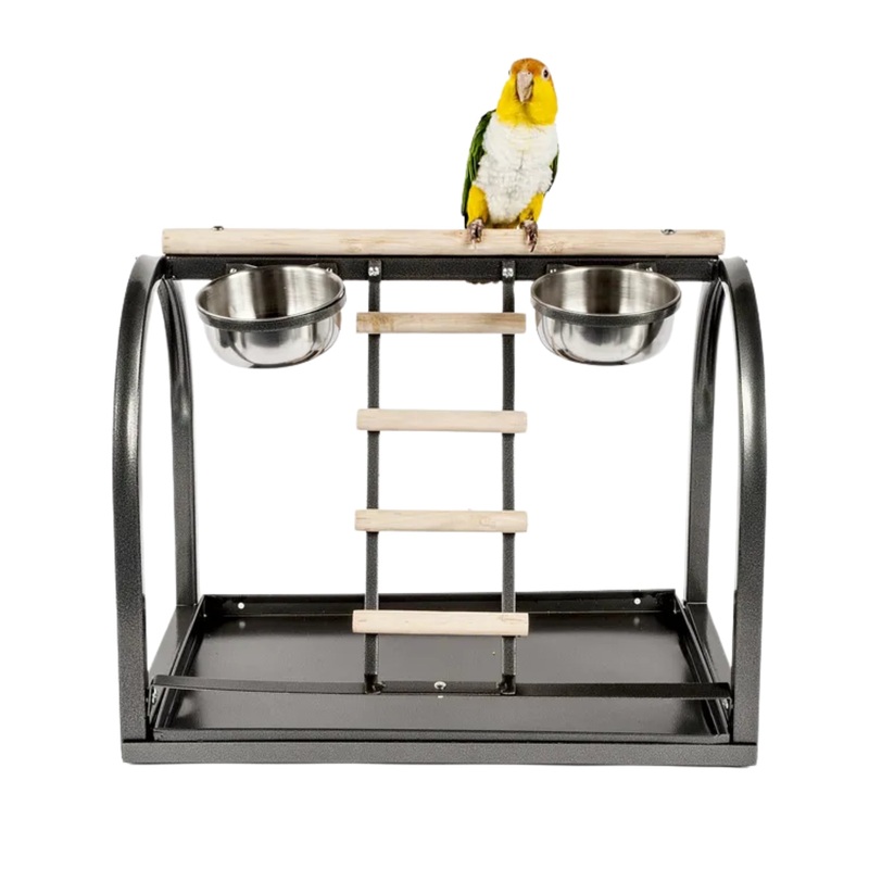 Table Top Stand  Convenient and Stable Bird Stand