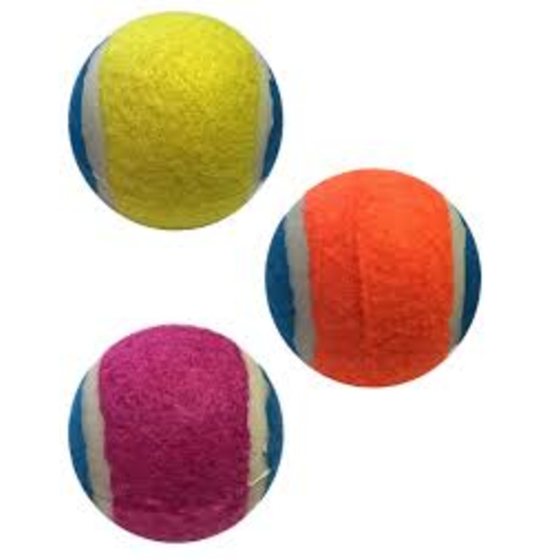 Good Boy Go Fetch Super Ball