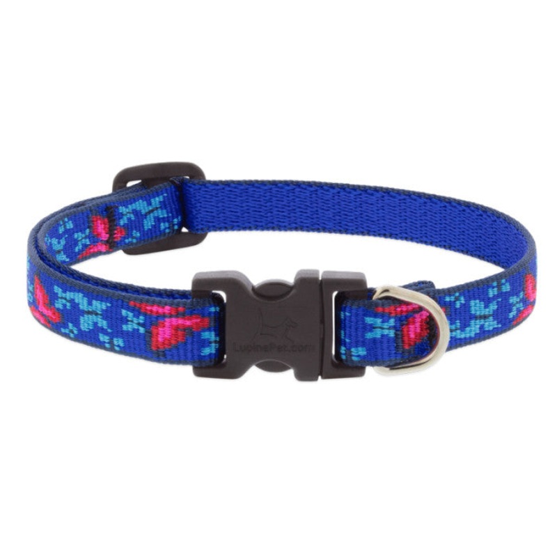 Lupine 8-12″, 1/2″ width Dog Collar – Social Butterfly