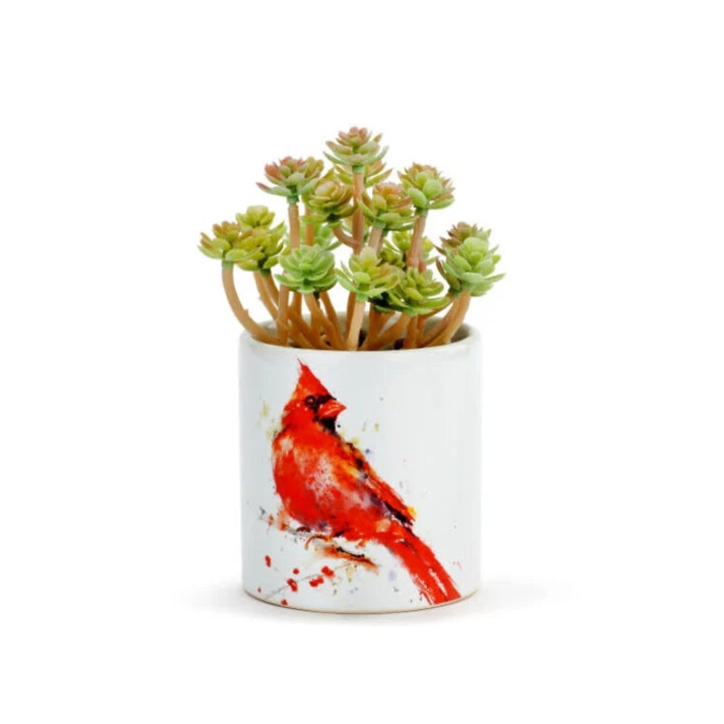 Ceramic Cardinal Succulent