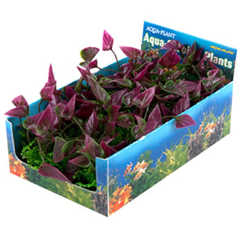 Penn Plax Bunch Plant Green/Purple Medium