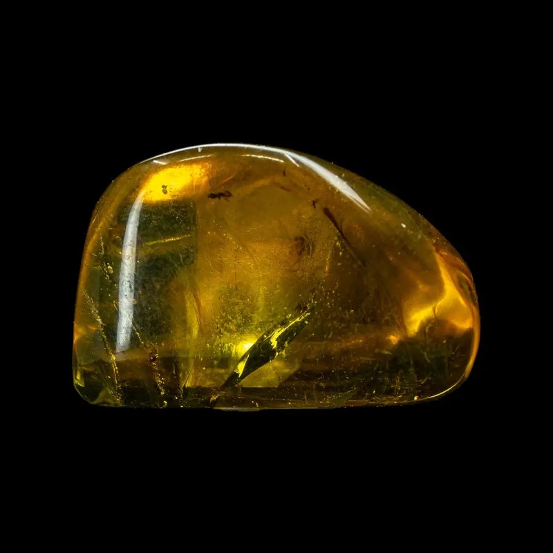 Amber w/ Insect Inclusions