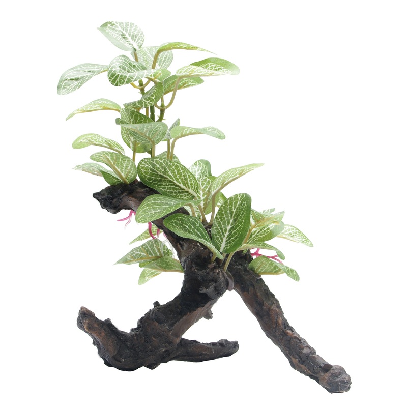 Fluval African Shade Leaf on Root  8 Inch