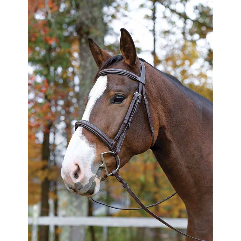 Avignon Ocala Bridle Cob