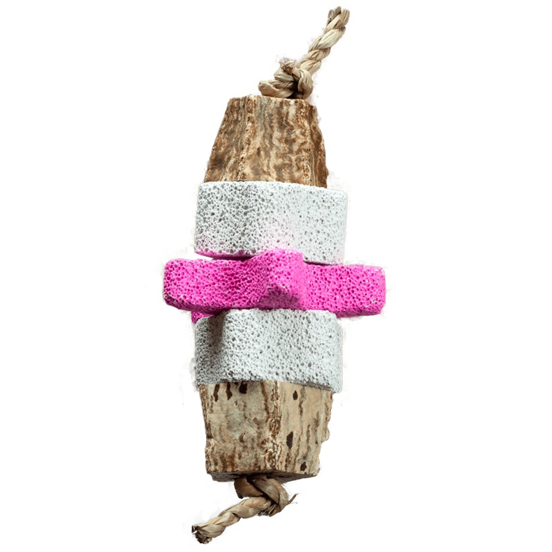 A&E Nibbles Pumic Star Bright Chew