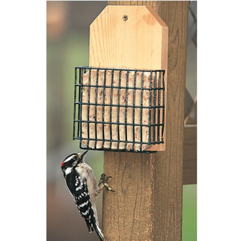 Duncraft Tree Mount Suet Feeder