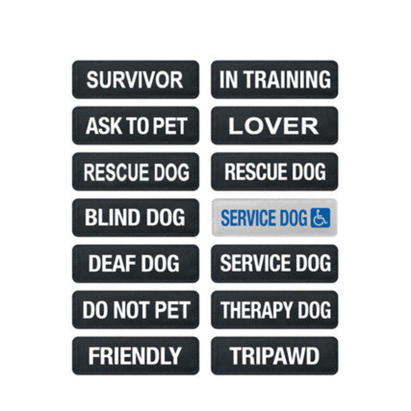 Ezydog Side Badge Ask to Pet For Dogs S