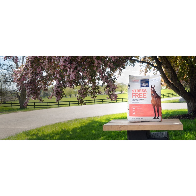 Southern States Triple Crown StressFree Fortified Forage 40 lb