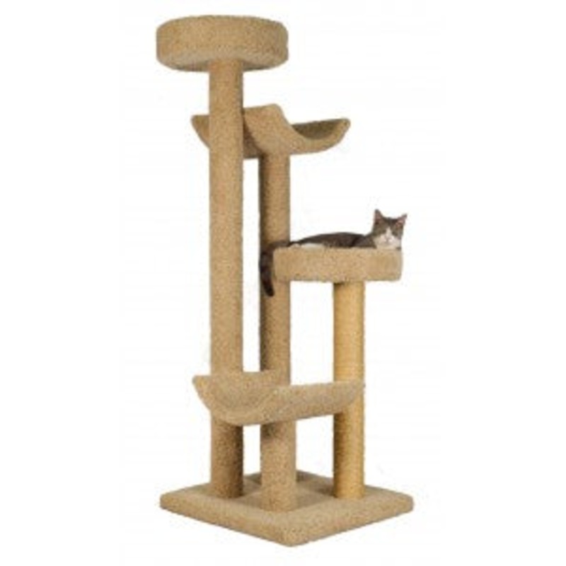 Step Stool Sleeper