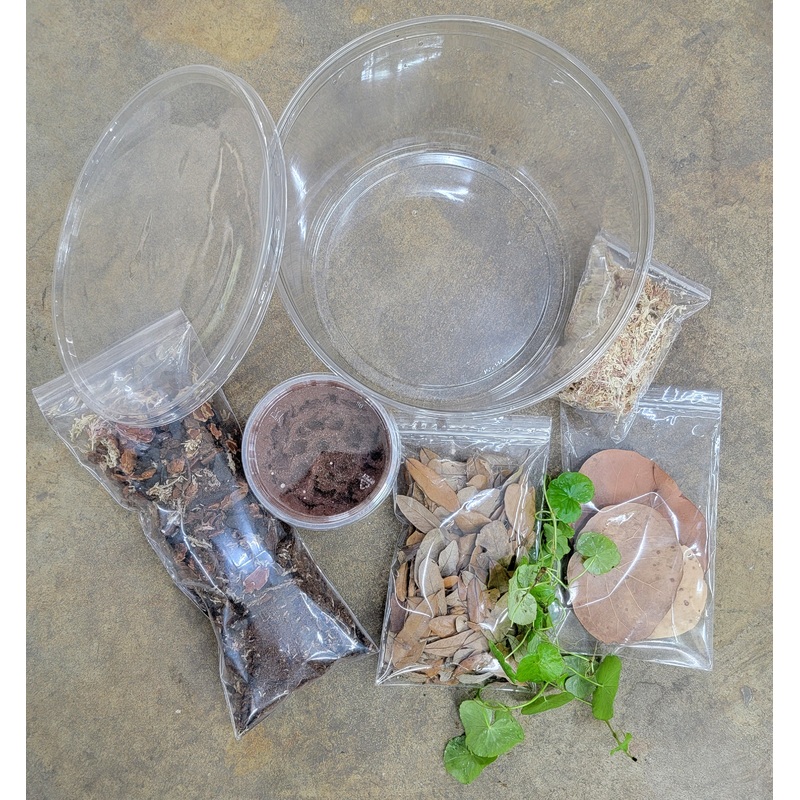 Full Froglet Grow-Out Kit – Extra Large Deli Round (190 oz) Single