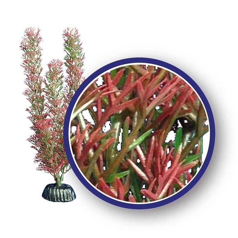 Weco Freshwater Series Foxtail Aquarium Plant Red 6 inch