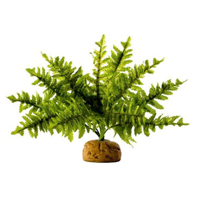 Boston Fern Silk & Plastic Realistic Artifical Plant Reptile Habitat Decor Medium