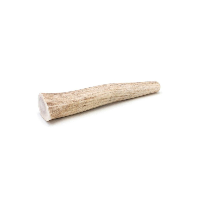 Antler Chewz Whole Deer Antler Dog Chew 7-8″ chew