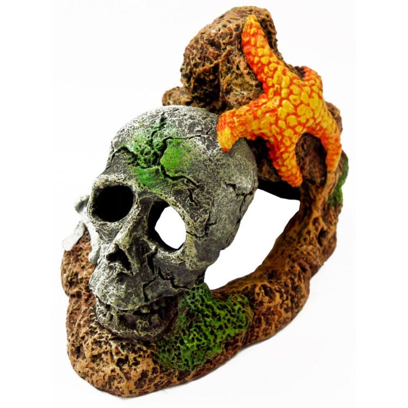 Exotic Environments Skull With Starfish Ornament