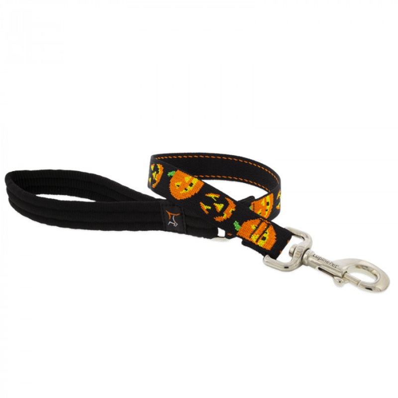 Lupine Dog Leash 1″ Wide x 6′ Long  Jack O’ Lantern