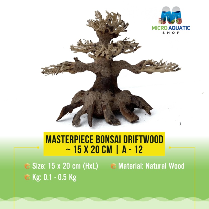 Masterpiece Bonsai Driftwood ~ 15 x 20 cm | A – 12