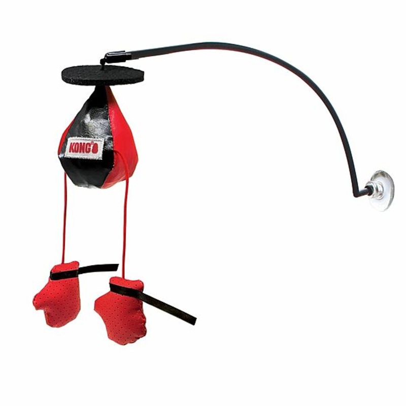 Connects Window Boxing Cat Toy