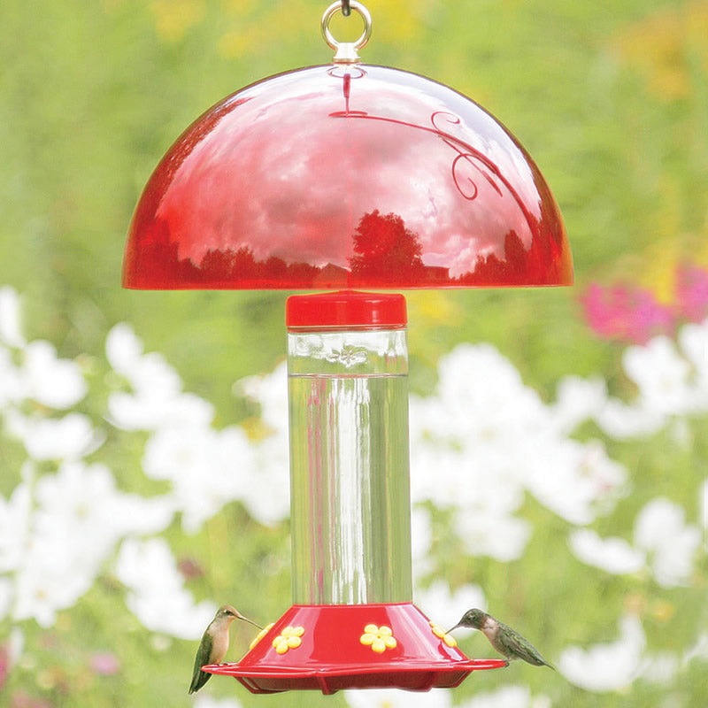 Hummingbird Set