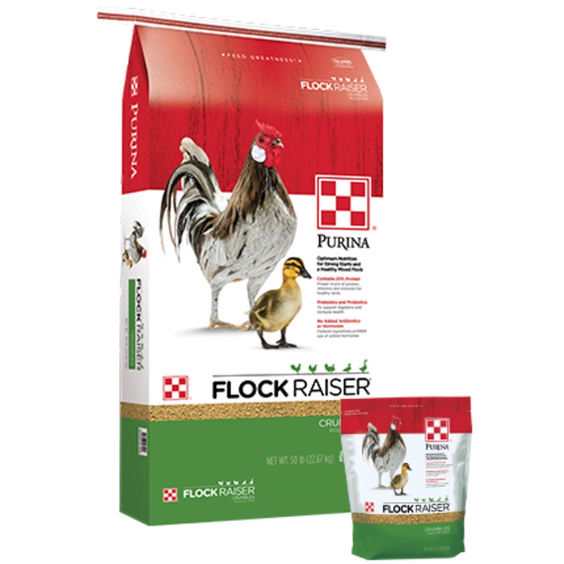 Purina Flock Raiser Crumbles 5 lb