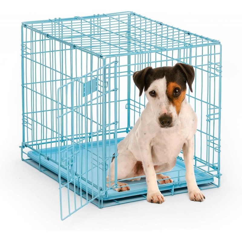 Midwest iCrate Single Door Blue Dog Crate (24″ x 18″)