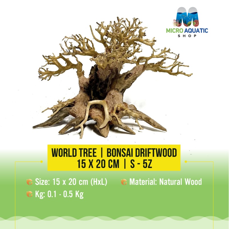 World Tree | Bonsai Driftwood – 15 x 20 cm | S – 5z