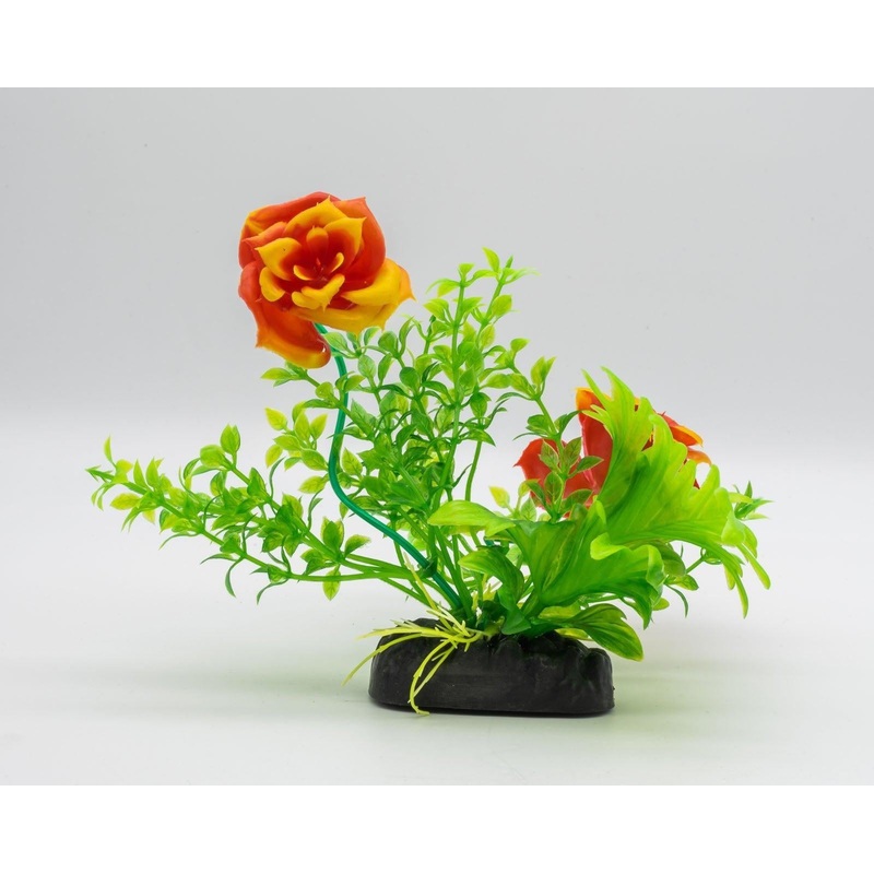 AquaSpectra Rose Purple