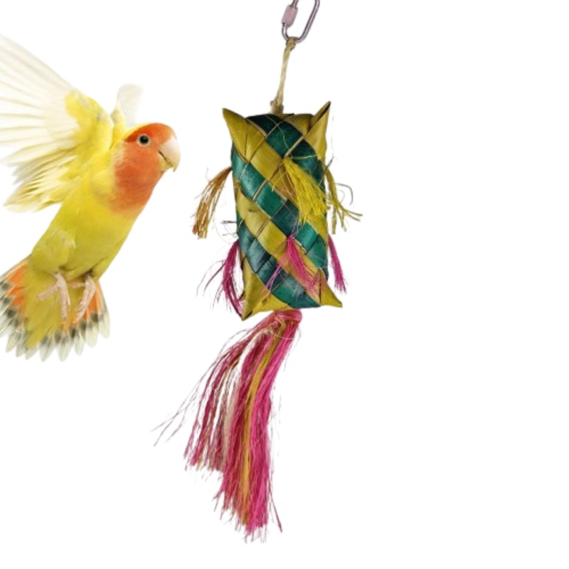 Back Zoo Nature Carnival Pinata  Fun & Engaging Toy for Birds