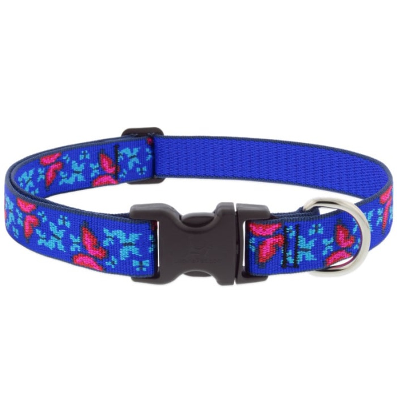 Lupine Pet Dog 1 In Wide 12-20 In Adjustable Collar Original Designs Social Butterfly