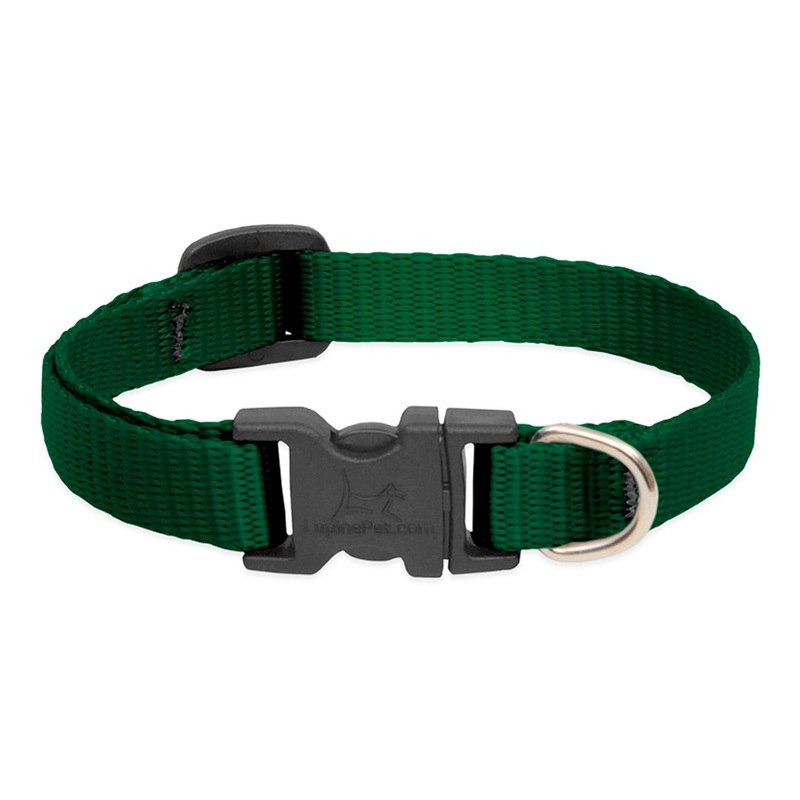 BASICS Adjustable Collar GREEN 1/2 FOR SMALL DOGS – 6″-9″