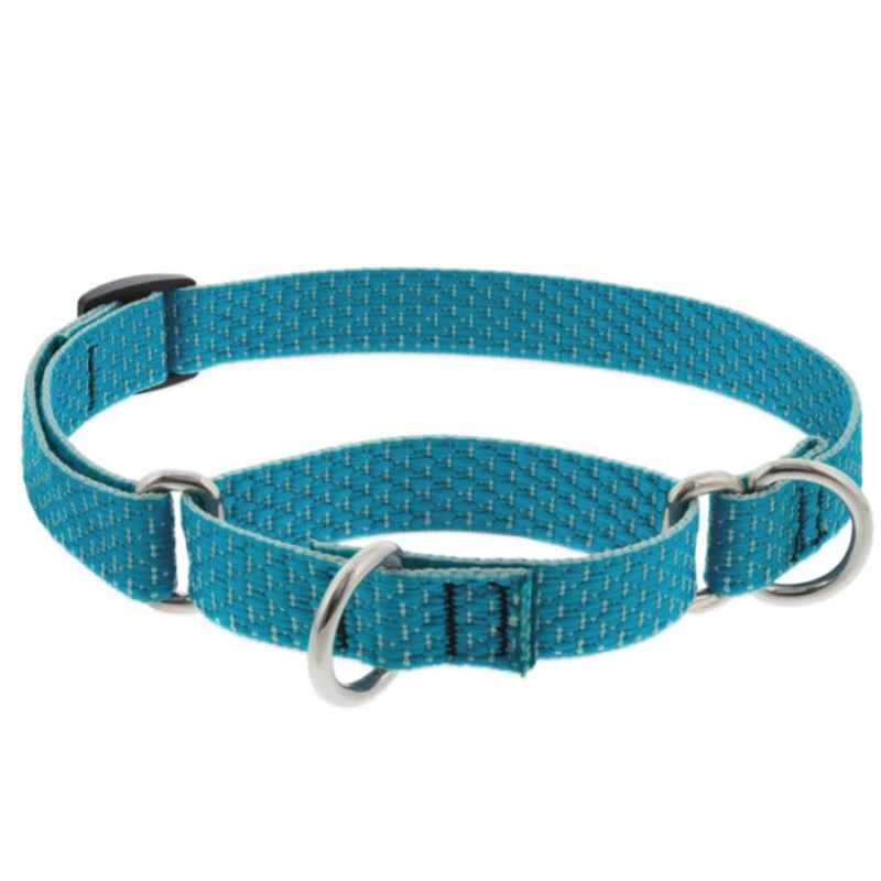 Lupine Eco Martingale Collar for Training 3/4″ x 14″-20″ Tropical Sea
