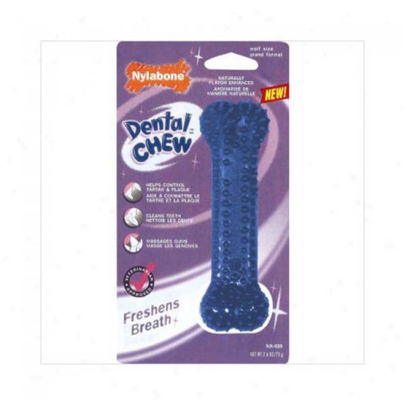 Nylabone Dog Dental Chew Bone Pack of 1