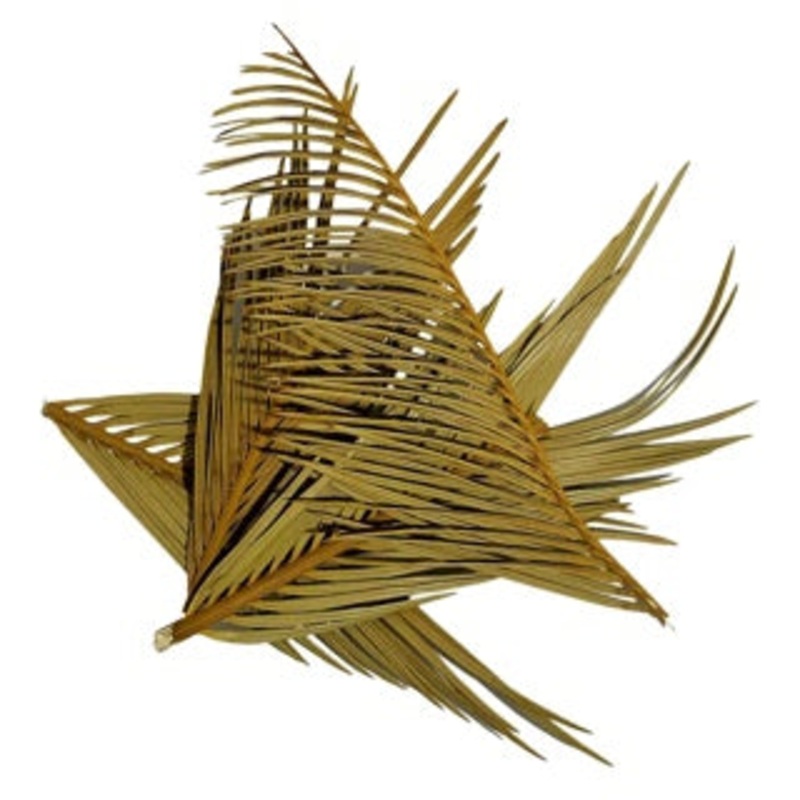 WIO Cyca Leaves 10 – 20cm 3pcs