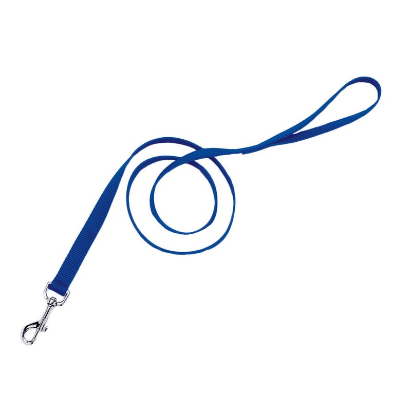 Coastal Nylon Lead 4′ – 5/8″ Blue 4′ Blue