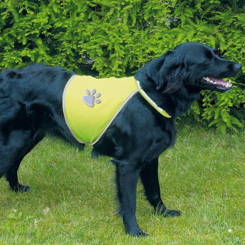 Hi-Vis Safety Vest for Dogs M
