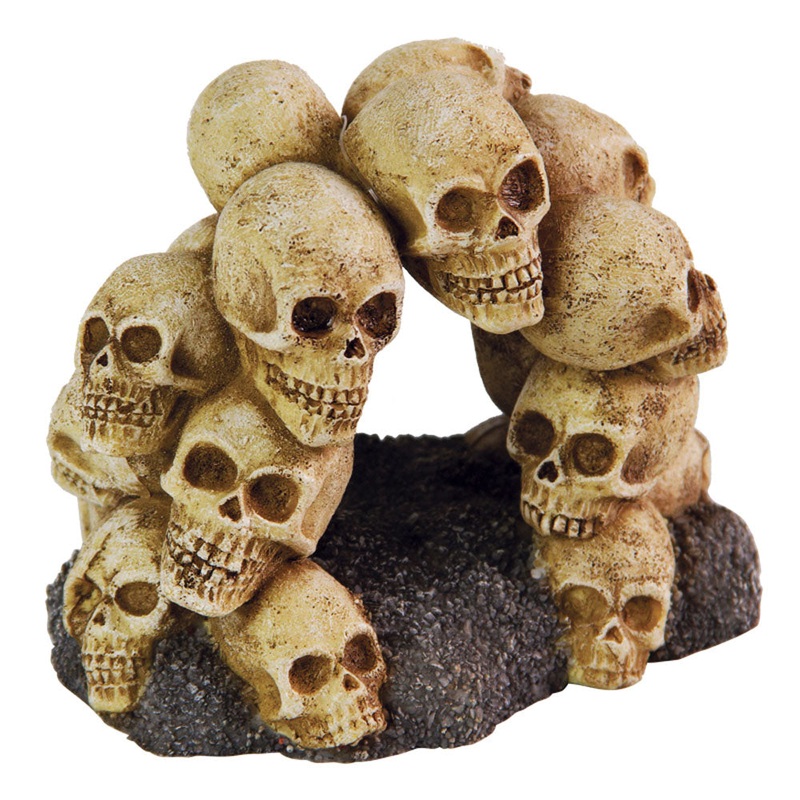 AquaFit Polyresin Skull Arch 5.25x4x4″
